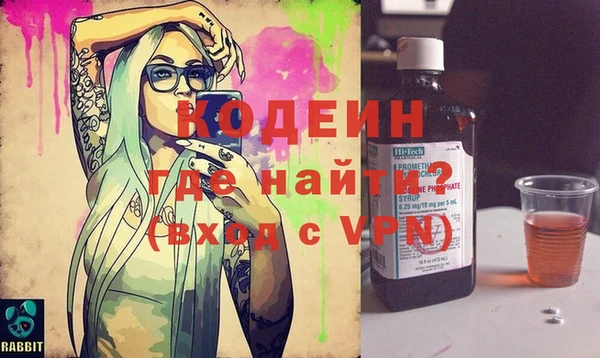 индика Алзамай