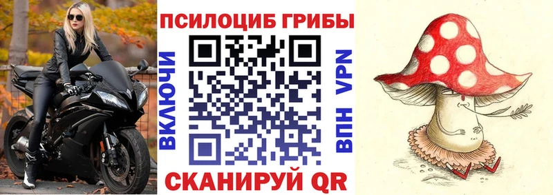 магазин продажи наркотиков  Ивангород  Псилоцибиновые грибы Cubensis 